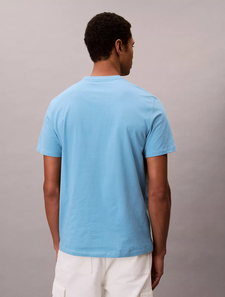 Calvin Klein Apartment Logo Graphic Classic T-Shirt