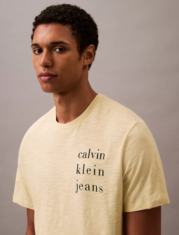 Calvin Klein Spaced Logo Graphic Classic T-Shirt
