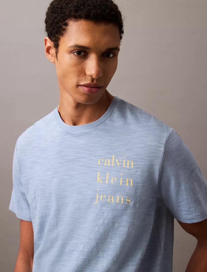 Calvin Klein Spaced Logo Graphic Classic T-Shirt