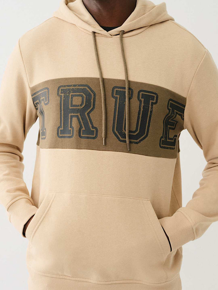 TRUE RELIGION CONTRAST PANEL LOGO HOODIE
