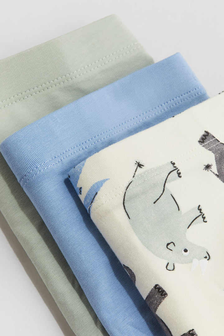 H&M 5-pack Boxer Briefs