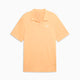 Almost Apricot
