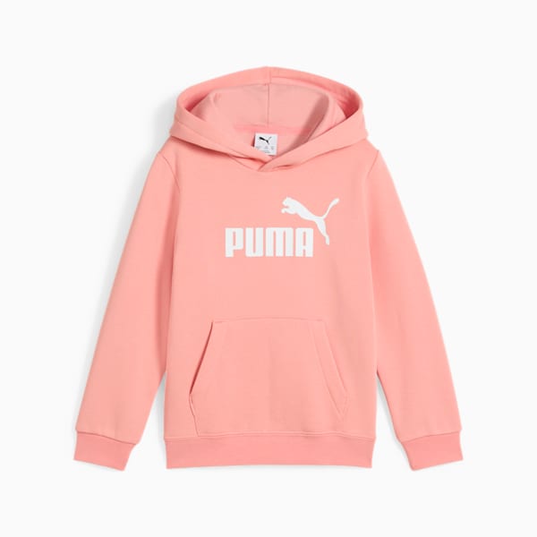 PUMA Essentials No. 1 Logo Little Kids' Fleece Hoodie