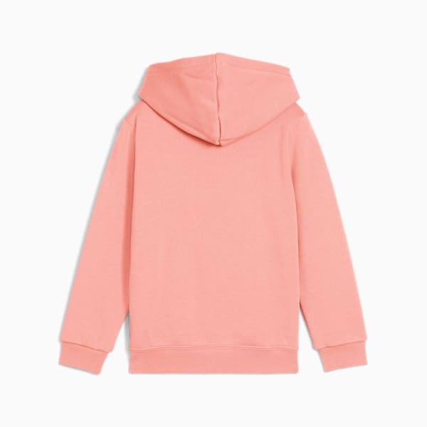 PUMA Essentials No. 1 Logo Little Kids' Fleece Hoodie