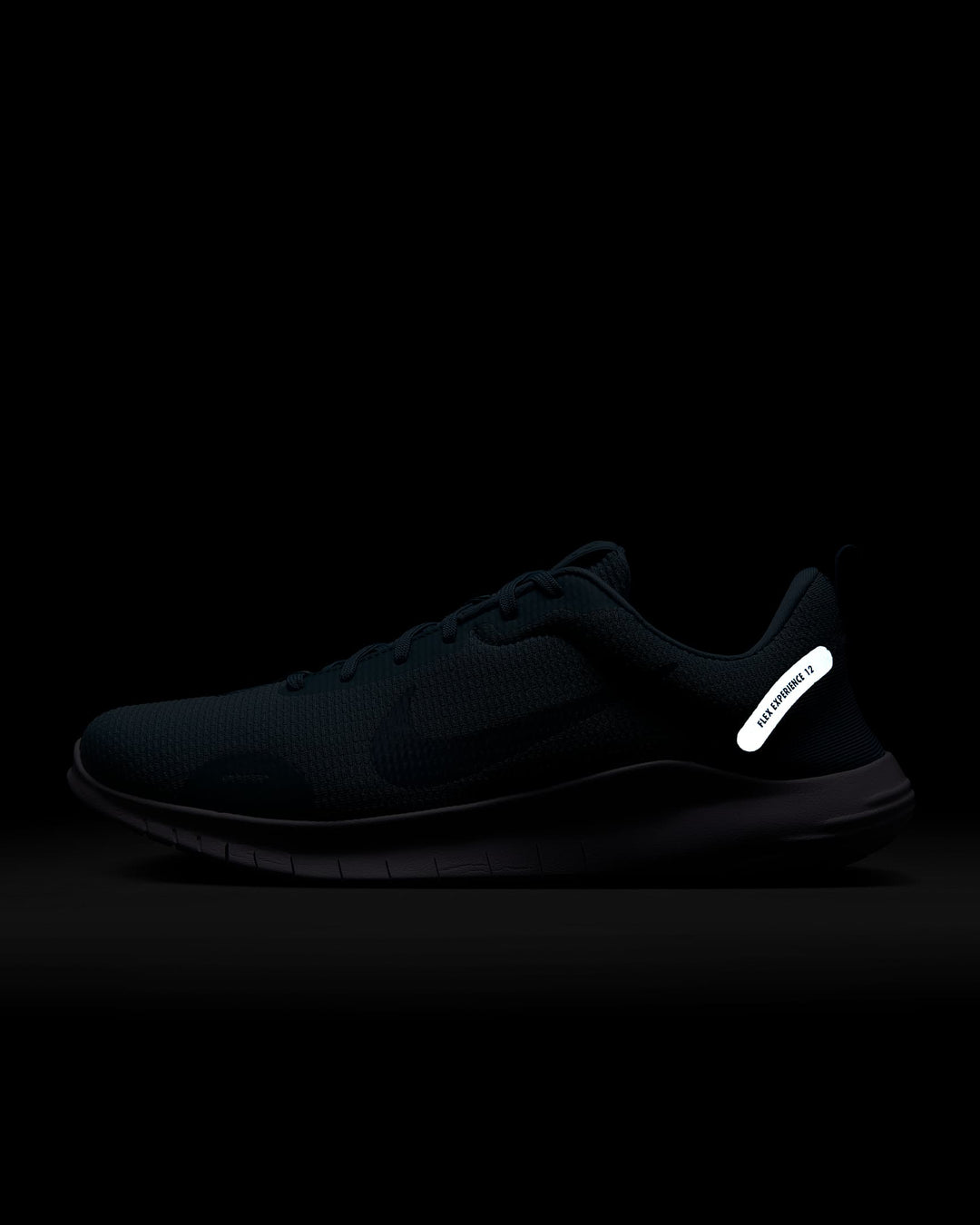 Nike Flex Experience Run 12 Men's Road Running Shoes