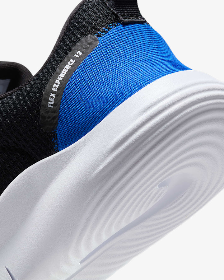 Nike Flex Experience Run 12 Men's Road Running Shoes
