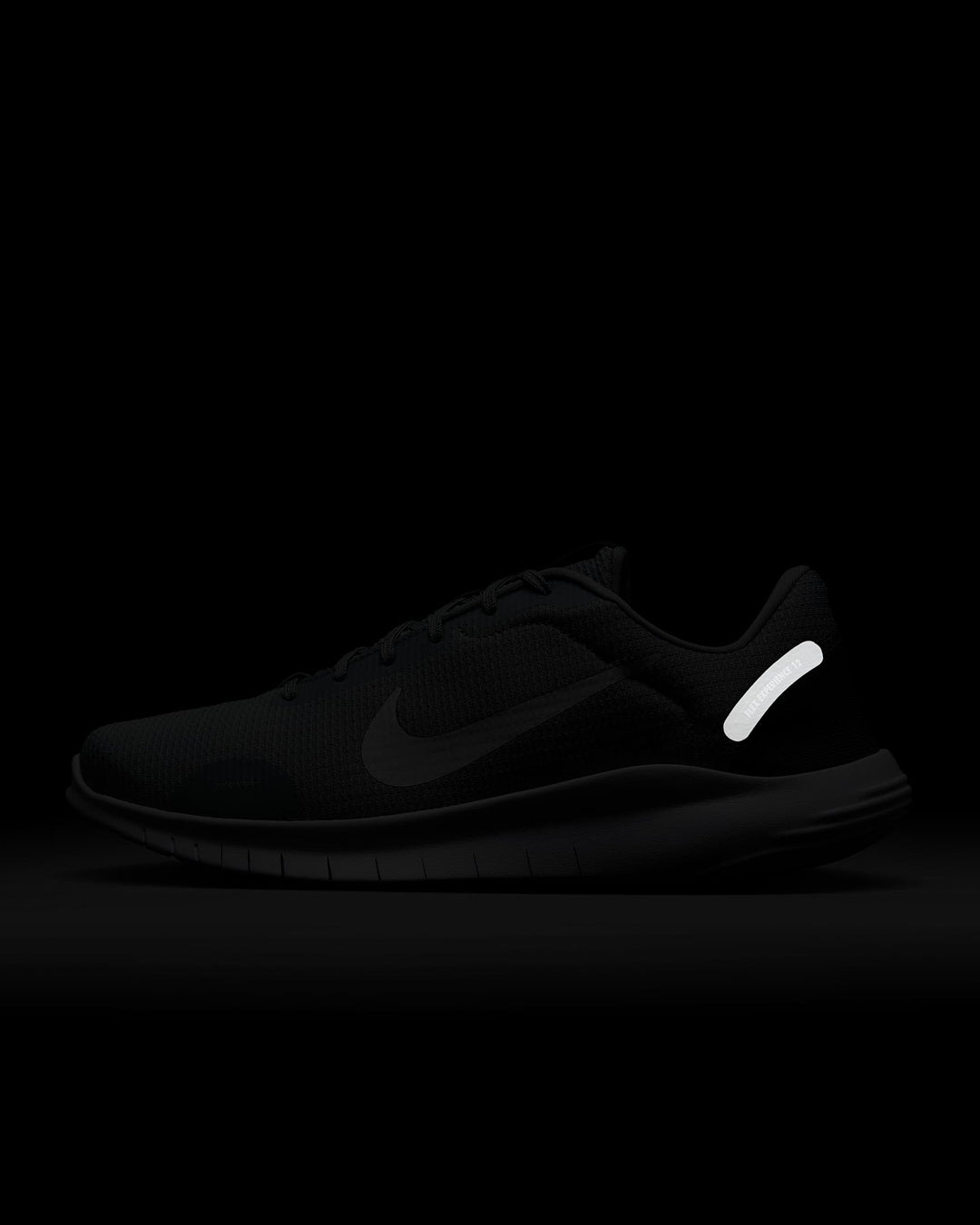 Nike Flex Experience Run 12 Men's Road Running Shoes