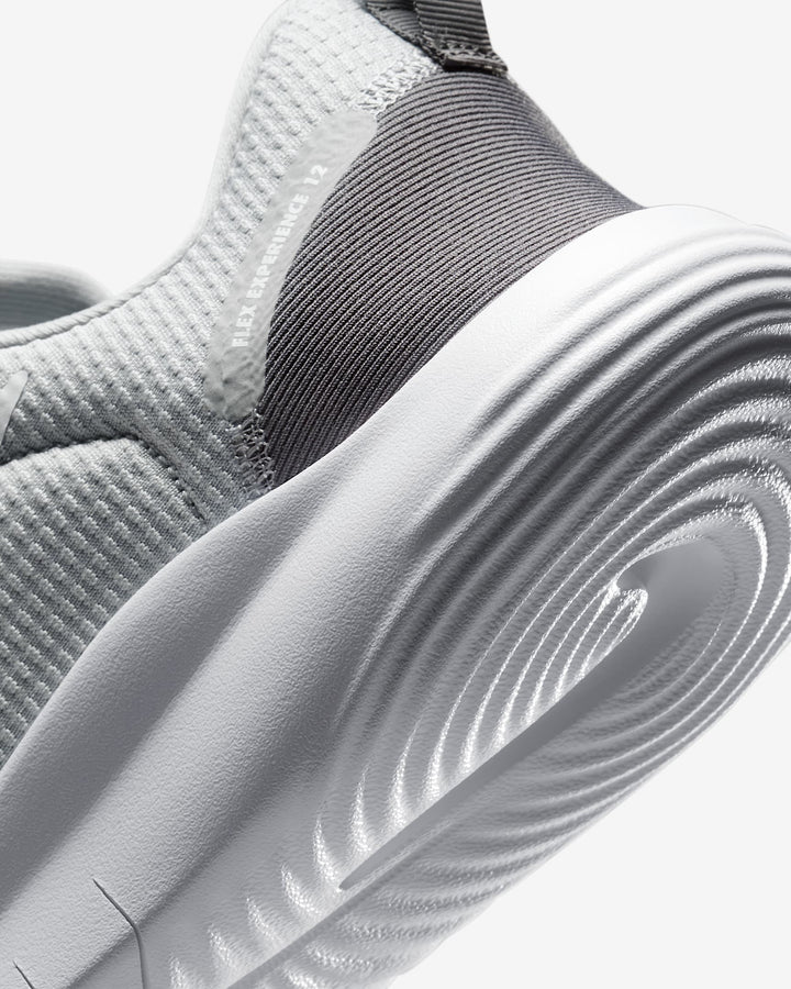Nike Flex Experience Run 12 Men's Road Running Shoes