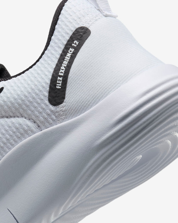 Nike Flex Experience Run 12 Men's Road Running Shoes