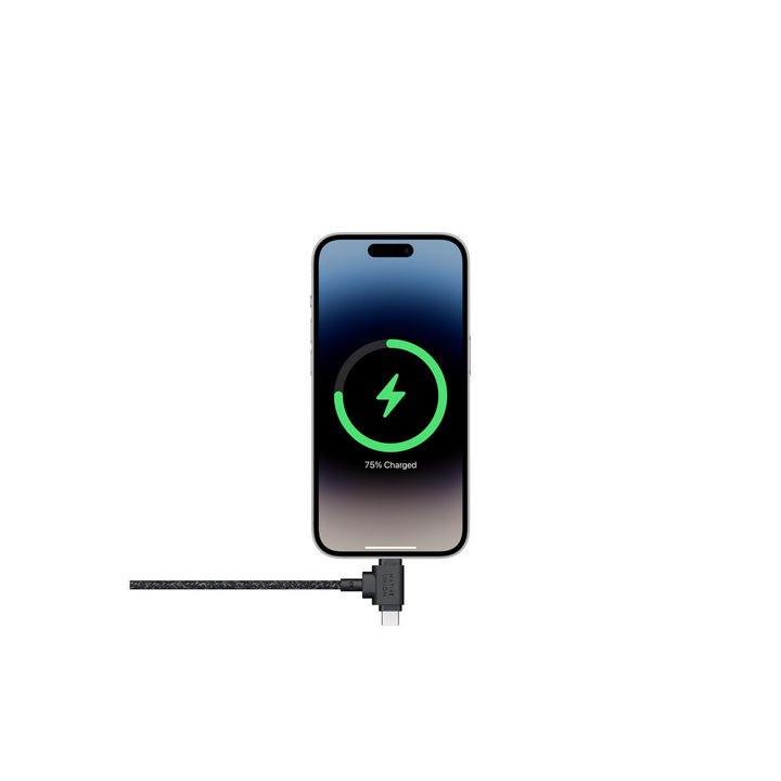 Apple Native Union Belt Cable Duo USB-C to Lightning and USB-C Cable