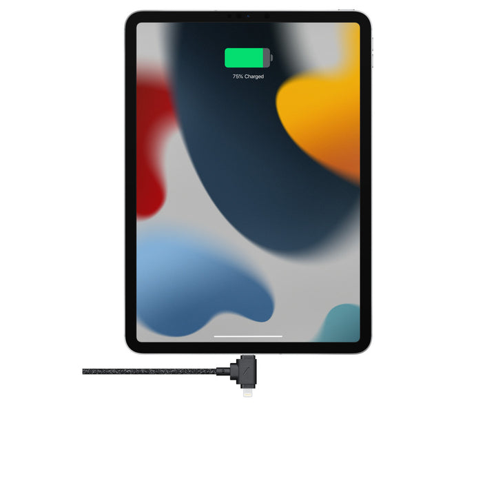 Apple Native Union Belt Cable Duo USB-C to Lightning and USB-C Cable