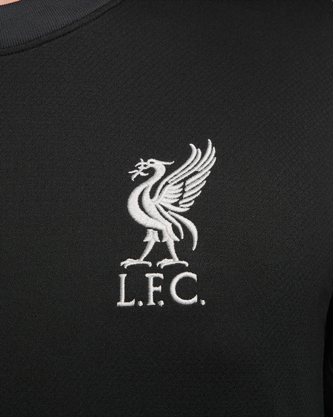 Nike Liverpool F.C. 2024/25 Stadium Away
