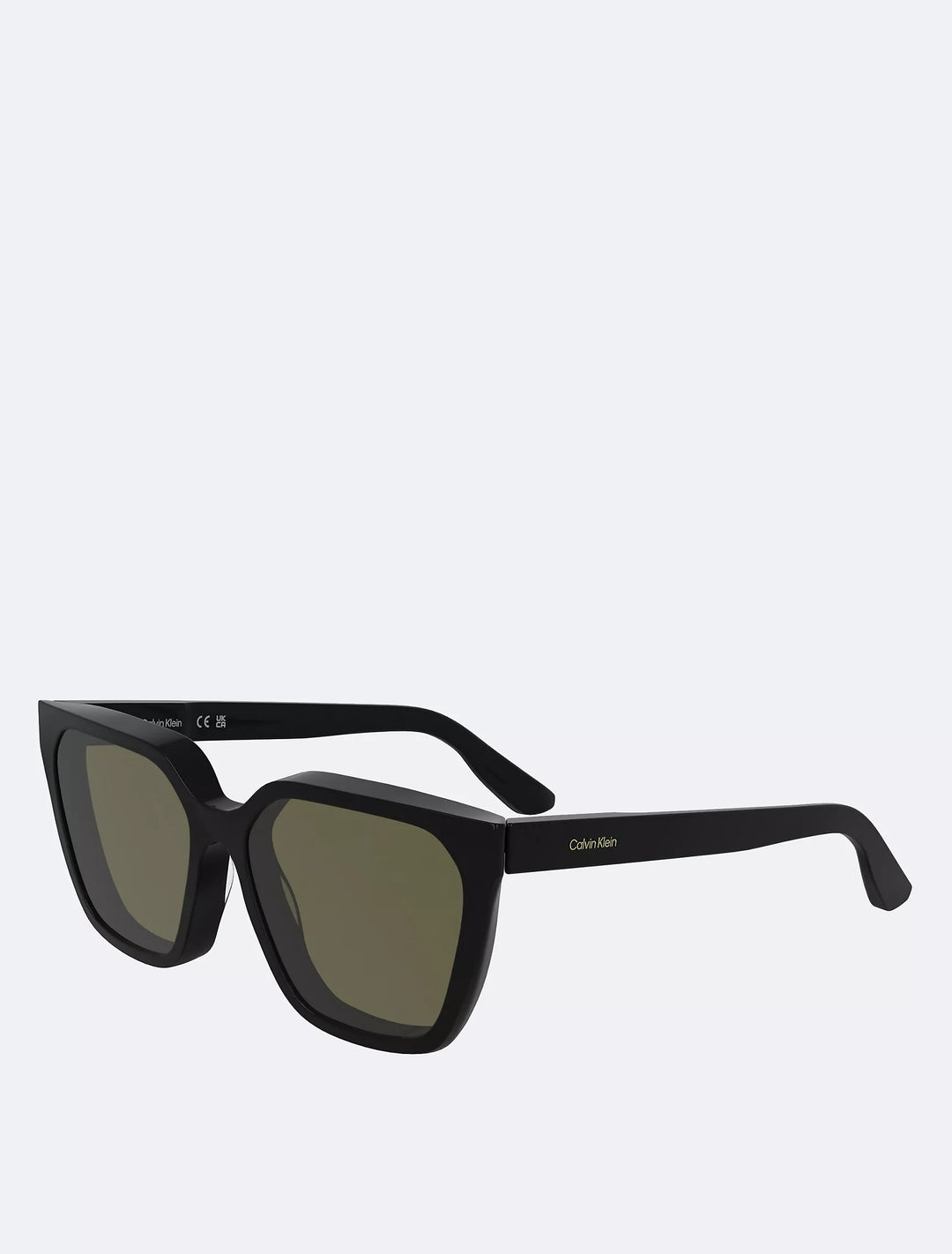 Calvin Klein Acetate Modified Rectangle Sunglasses