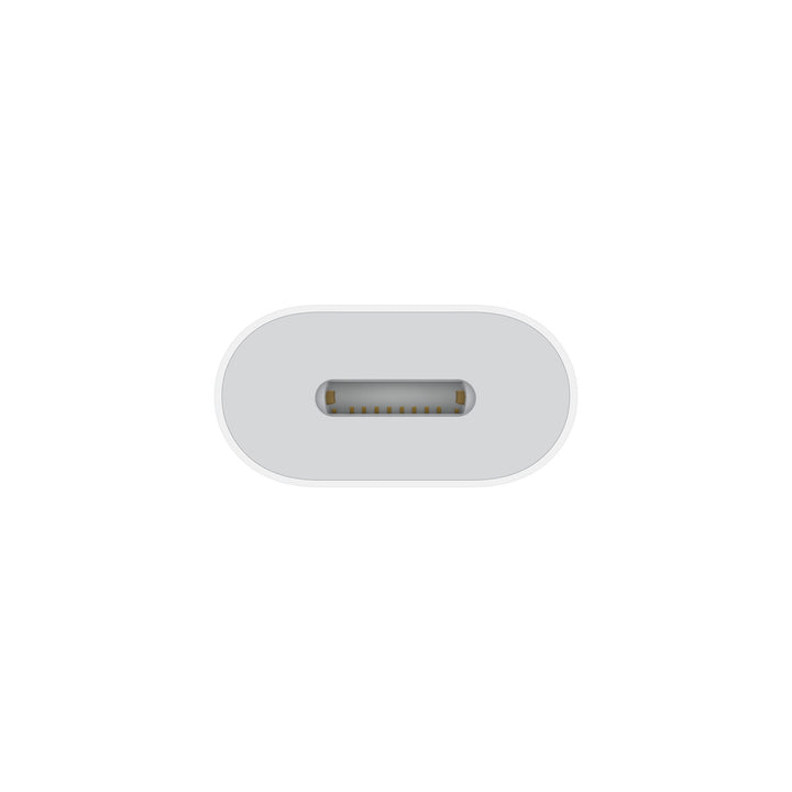 Apple USB-C to Lightning Adapter