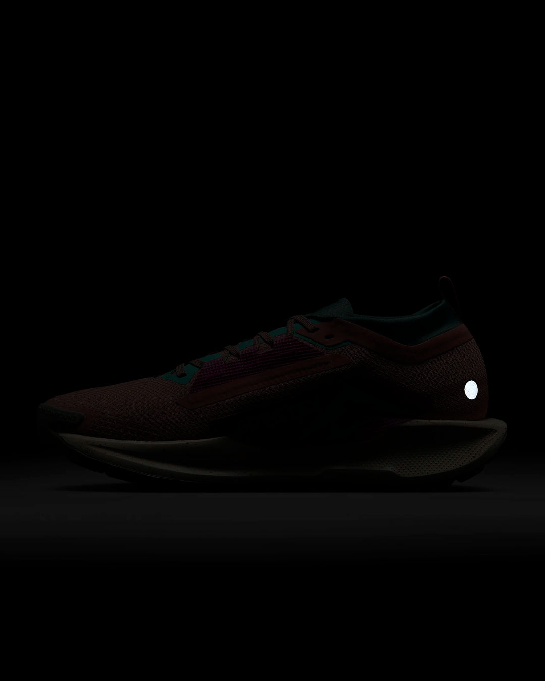 Nike Pegasus Trail 5 GORE-TEX