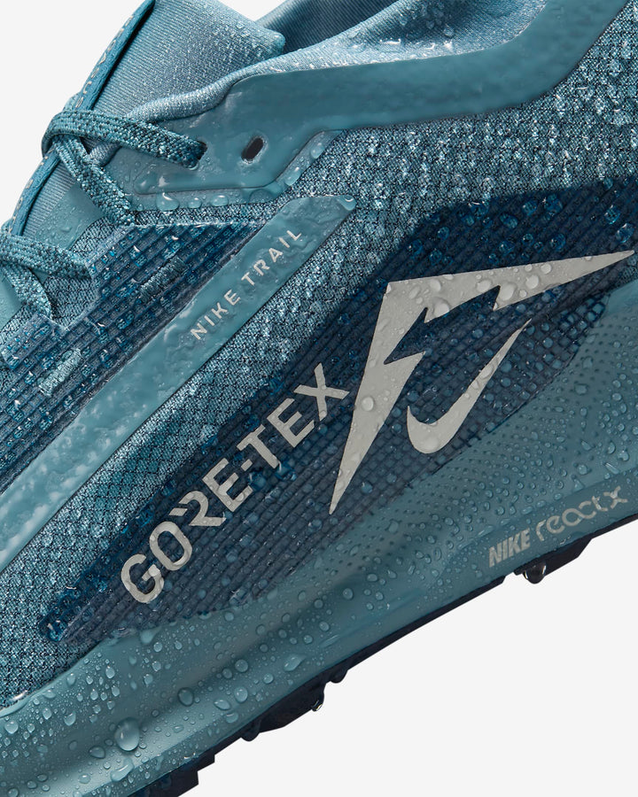 Nike Pegasus Trail 5 GORE-TEX