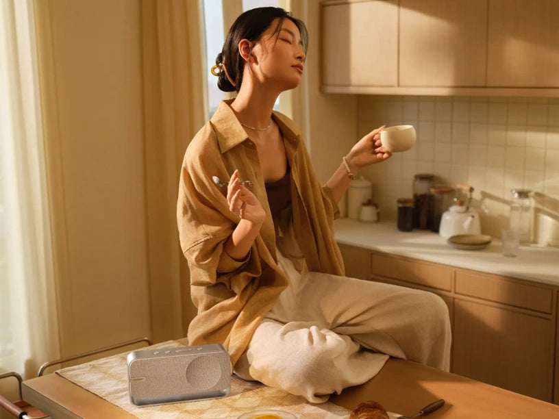 Bose SoundLink Home Bluetooth Speaker