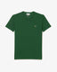 Green Pattern