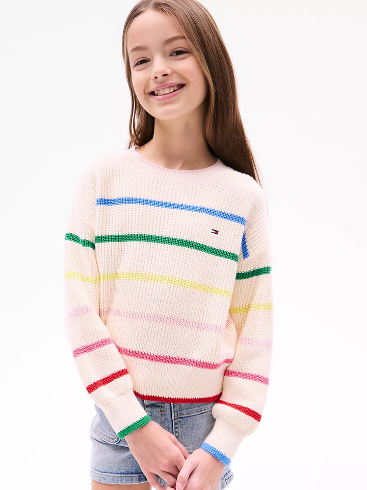 Tommy Hilfiger Kids' Multicolor Stripe Sweater
