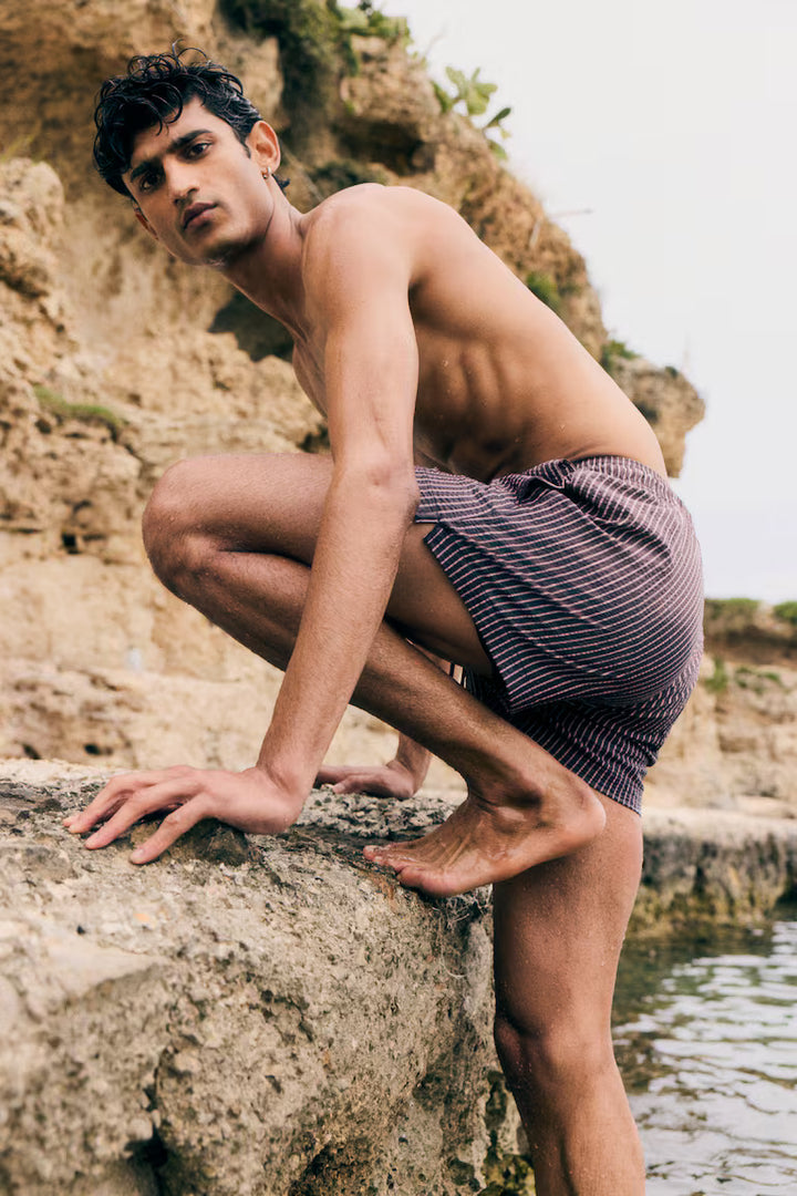 H&M Seersucker Swim Shorts