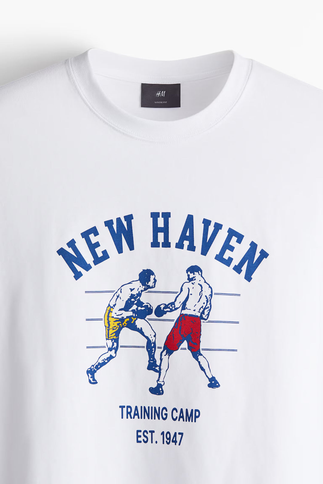 H&M Loose Fit Printed T-shirt