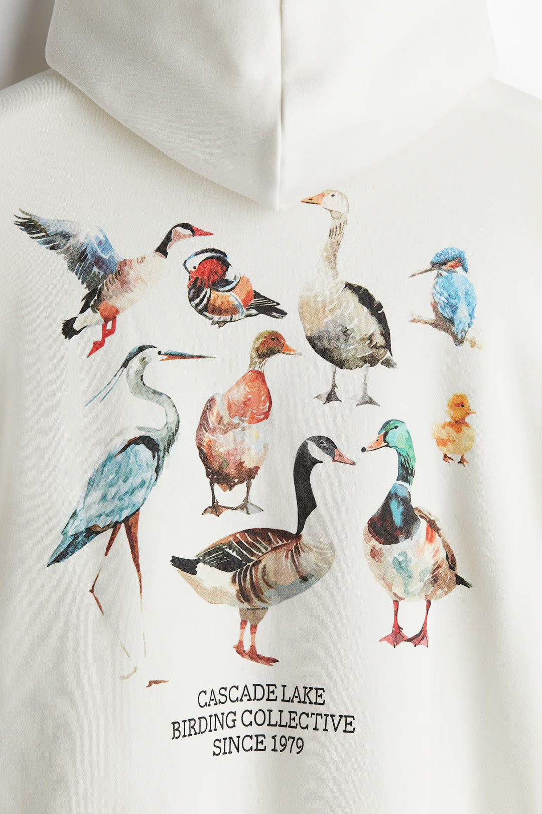 H&M Loose Fit Printed Hoodie