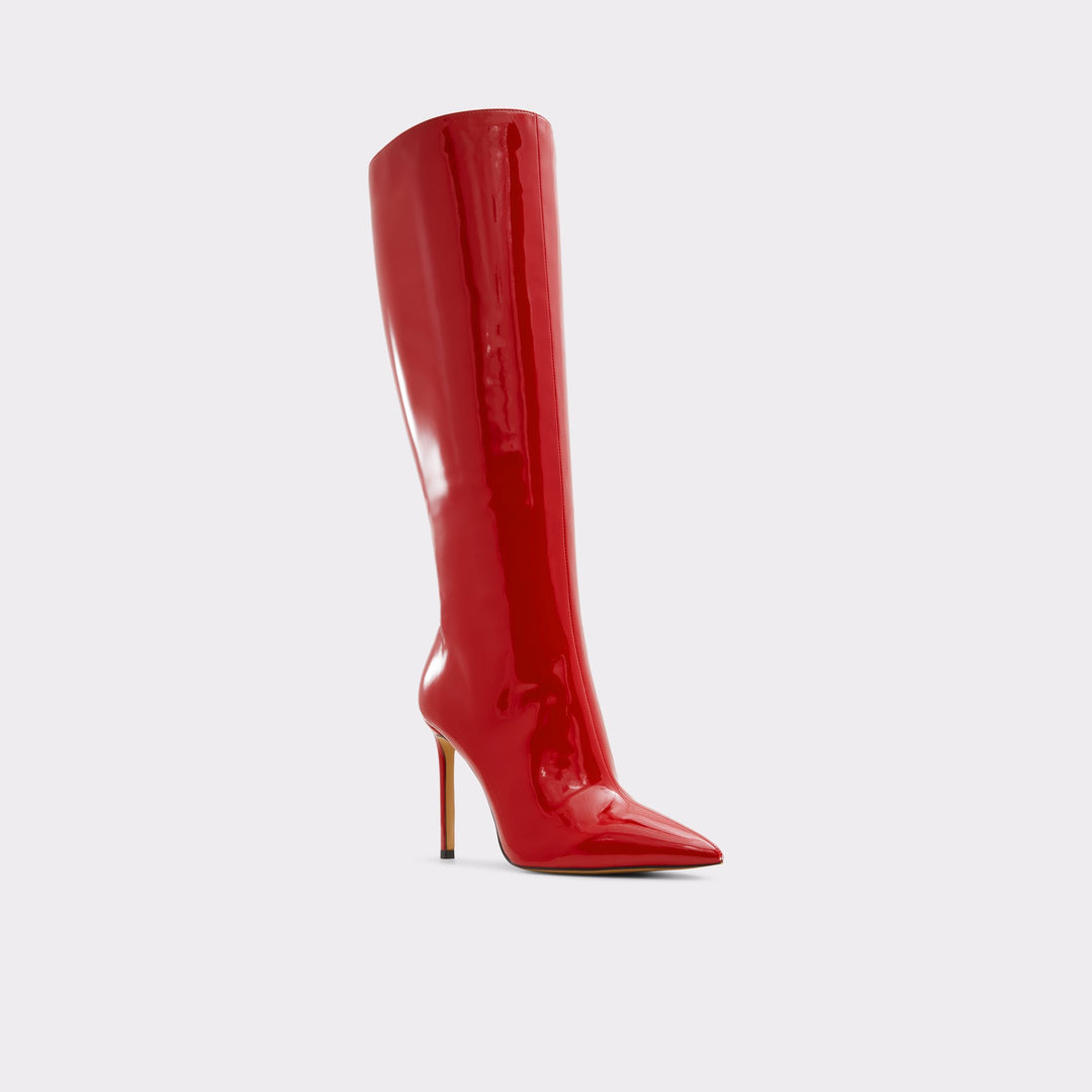 ALDO Agathea Knee-high boot