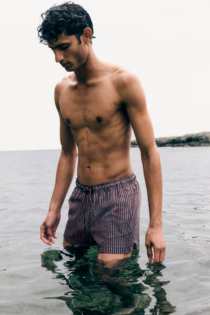 H&M Seersucker Swim Shorts