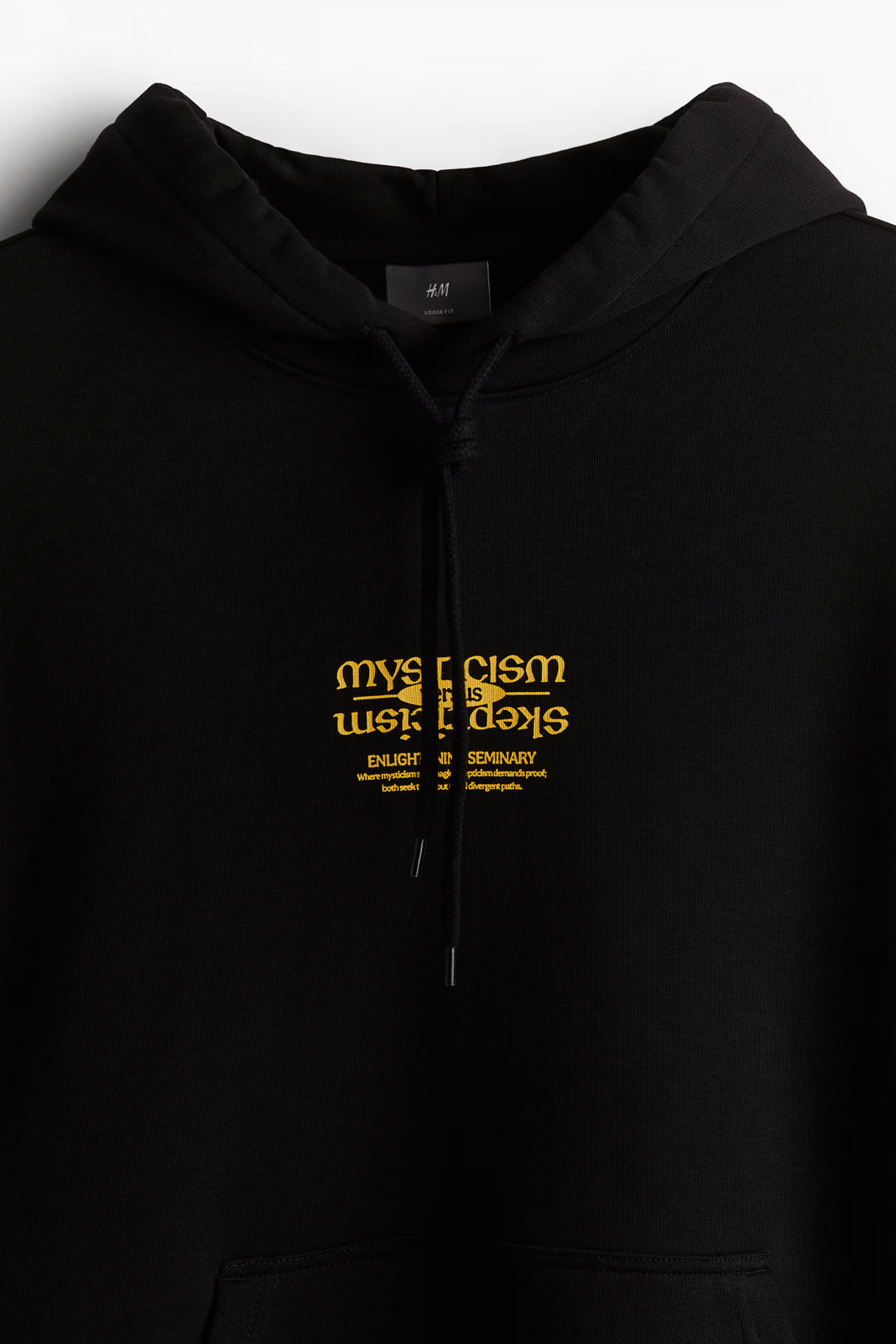 H&M Loose Fit Printed Hoodie