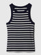 Navy Blue Stripped