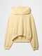 corn yellow