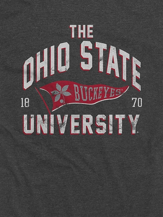Gap Iowa State Cyclones Banner Graphic T-Shirt