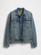 Dark Denim blue