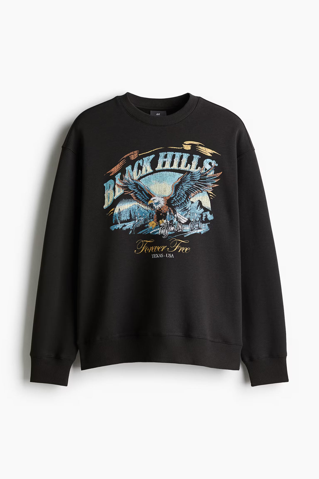 H&M Loose Fit Printed Sweatshirt