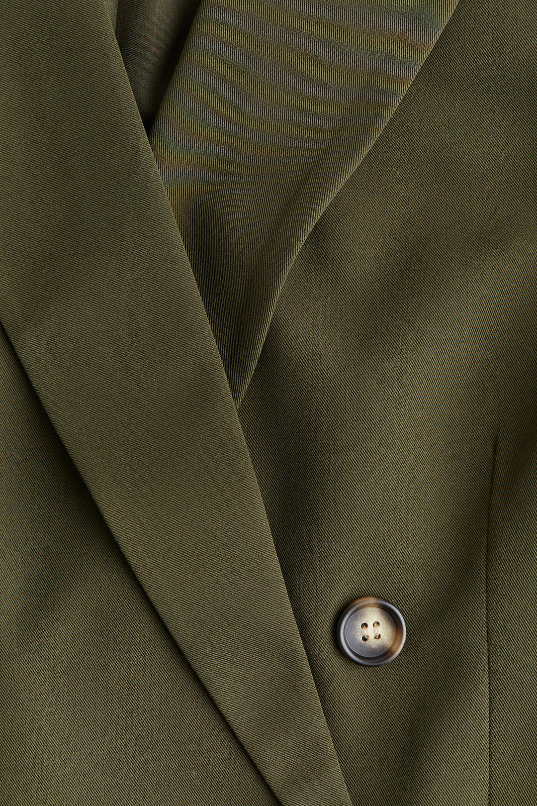 H&M Double-Breasted Blazer