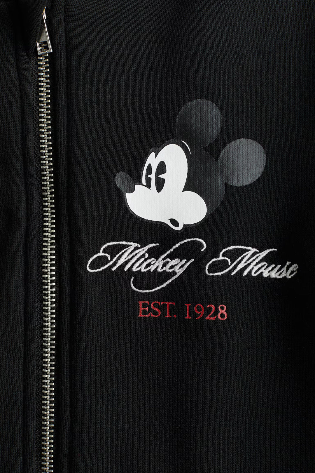 H&M Short Hooded Jacket with Printed Detail