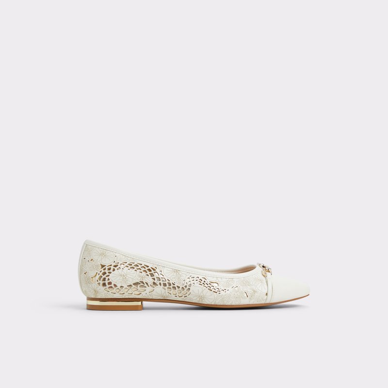 ALDO Krishelle Ballerina