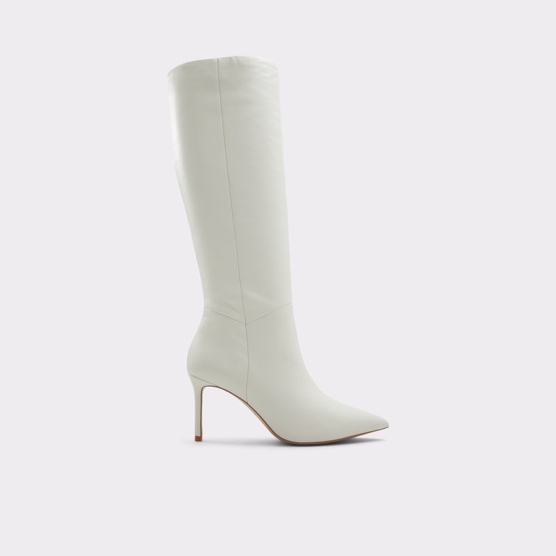 ALDO Laroche Knee-high boot