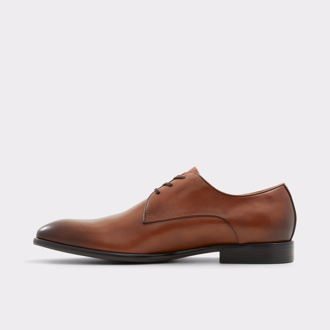 Aldo Marcelus Derby shoe