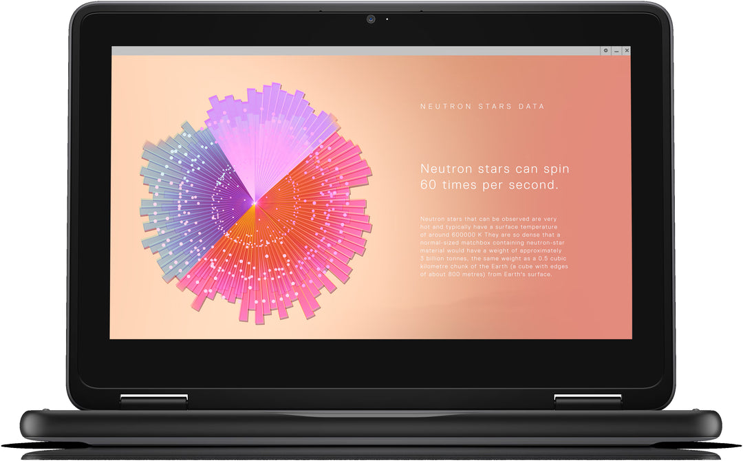 DELL Chromebook 3110 2-in-1