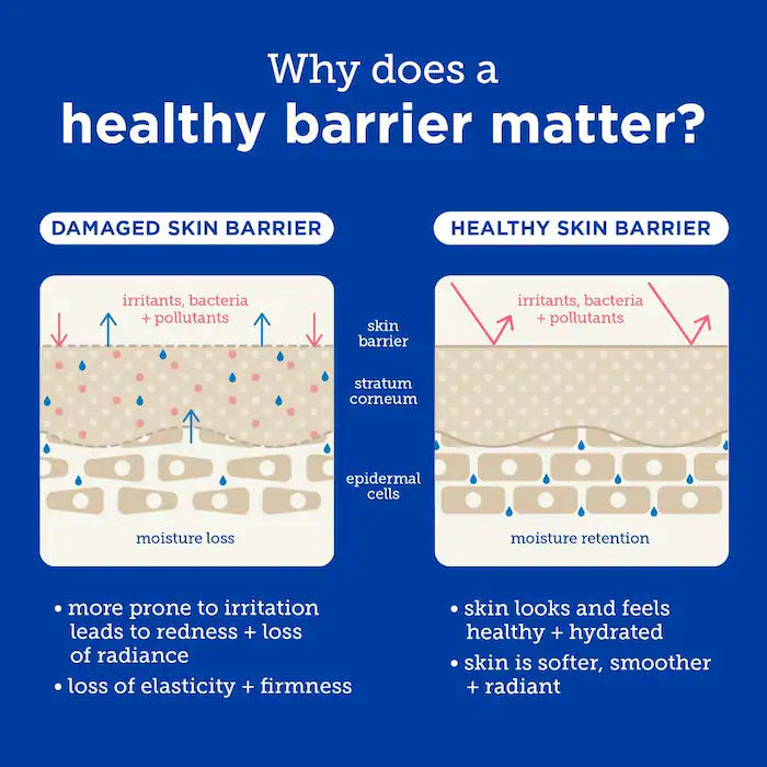 Skinfix  barrier+ Ceramide + Ectoin Hydrating Gentle Gel Cleanser