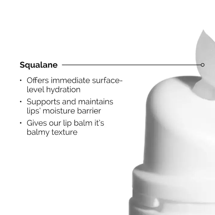 The Ordinary  Squalane + Amino Acids Hydrating Lip Balm