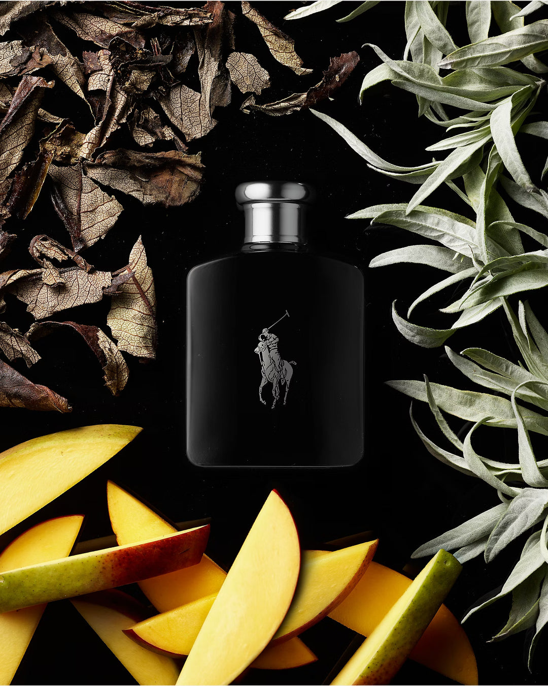 Ralph Lauren Polo Black Eau de Toilette