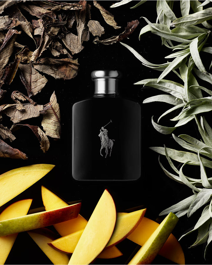 Ralph Lauren Polo Black Eau de Toilette