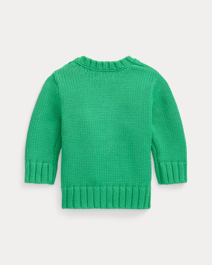 Ralph Lauren The Iconic Flag Sweater